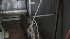 помещение для выращивания вешенки в подвале