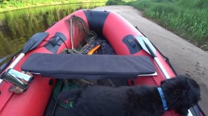 РЫБАЛКА НА РЕКЕ МОЛОГА 2023. Тверская область. Красивые места.