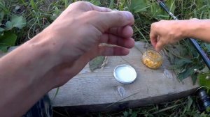 Вечерний клев карпа. Карп на удочку. Карпы монстры рвут леску.