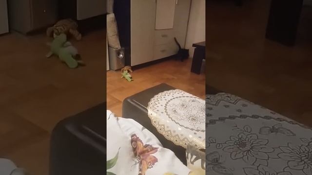 Кот собачонка) смотреть онлайн