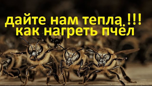пчёлы. Семьи пчёл не будут расти весной без тепла. Как сохранить тепло в гнезде и нагреть #пчёл.