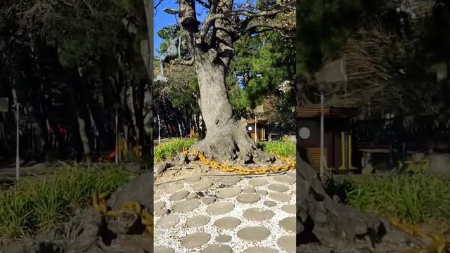 У Лукоморья дуб зеленый... смотреть онлайн