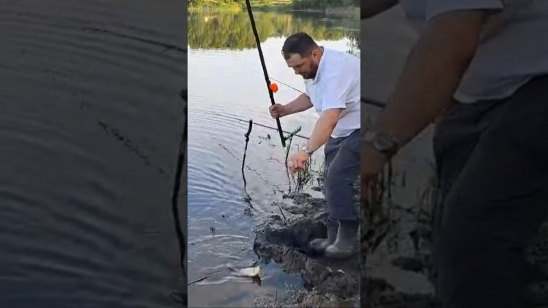 Вечерний карась #рыбалкакстово #fishing #карась #плотва