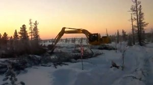 Работа вальщика леса.