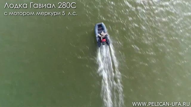 Лодка Гавиал 280С с мотором Меркури 5 л с