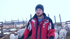 Содержание коз. Жизнь в деревне.