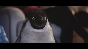История о маленьком пингвине и его друге