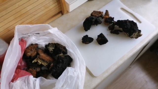 Сбор чаги. Приморск. смотреть онлайн