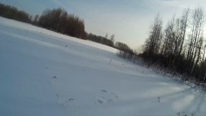 ЗАКЛИНИЛО МР 155. Охота на косача на лунках.