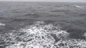 Последний  рассказ про море .