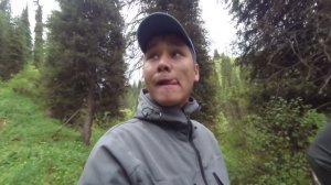 Как выжить в лесу без еды?