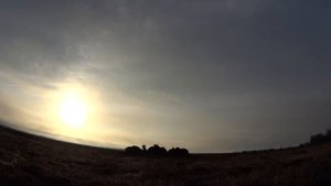 ГУСЬ 2022. Отпуск на охоту. Охота из лежачих скрадков. МР-155, МР-27, ИЖ-27-16к.