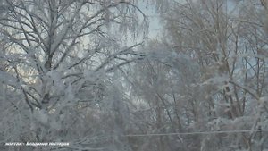 Виктор Шевцов - Зимние узоры (монтаж - Владимир Нестеров)