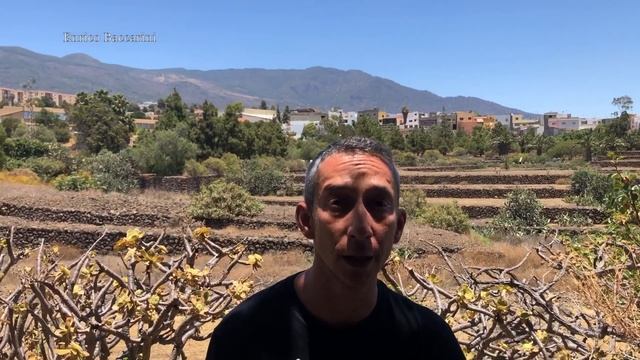 Le Piramidi di Guimar, Tenerife, con Enrico Baccarini