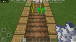 Выращивание ТЫКВЫ В MINECRAFT