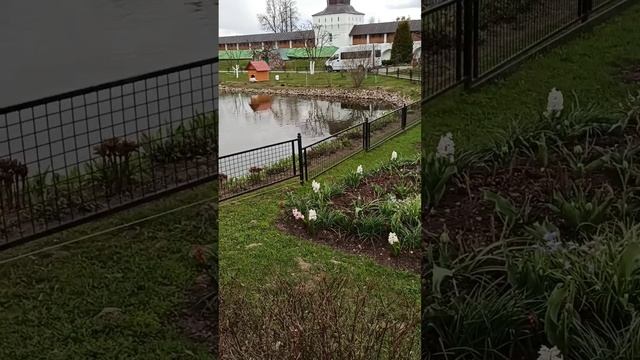 Толгский женский монастырь смотреть онлайн