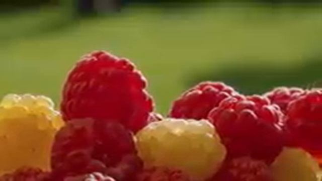 Малину Будете Собирать Вёдрами! Уход За Малиной Весной Ягод Будет Пропасть! #малина #удобрения #сад смотреть онлайн