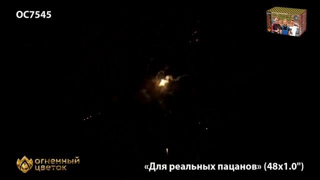 Для реальных пацанов ОС7545 салют ТМ Огненный Цветок смотреть онлайн
