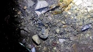 Ловля раков на Урале.