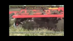 Борона дисковая БДМ 8х4 ПСКСР производства ООО "БДТ-АГРО" с трактором Кировец К701