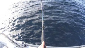 РЫБАЛКА В НОРВЕГИИ 2023! ВТОРОЙ ДЕНЬ ! КРУПНАЯ ТРЕСКА !