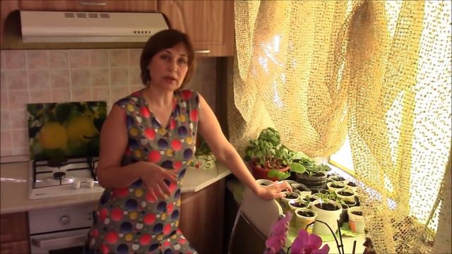 Моя рассада. Йод для всех растений. смотреть онлайн