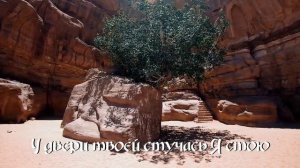 Келья _ Дарина Кочанжи ( Lyric Video ) [M9FW831Pkik].mp4