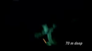 Огромная треска! Подводная съемка GoPro, остров Сёрёя