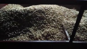 Газ или пилеты