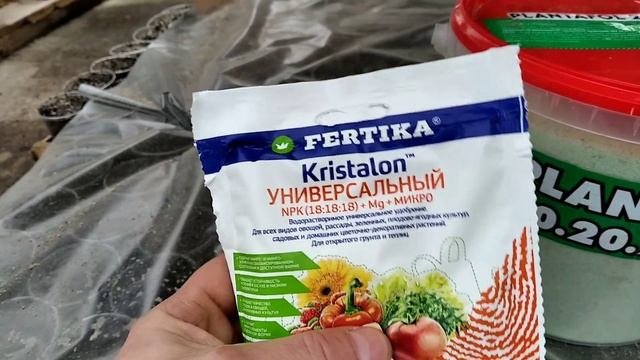 Как вырастить КРАСИВЫЕ ЦВЕТЫ на продажу? Наш СЕКРЕТ ПОДКОРМКИ от А до Я!