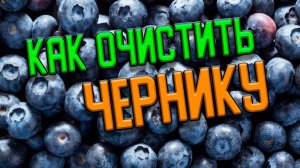 Как БЫСТРО очистить чернику от мусора || Дедовский способ