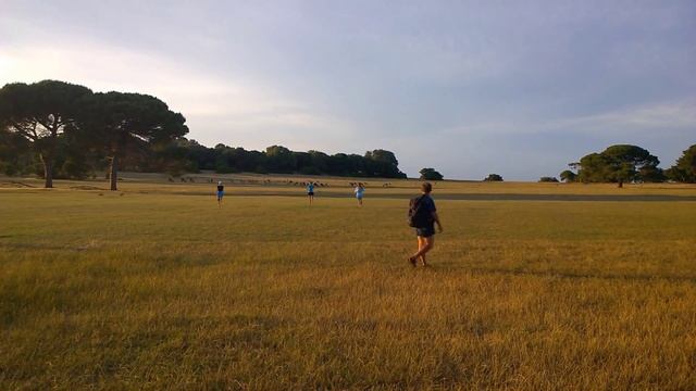 Зайцы в поле смотреть онлайн