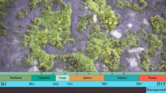Развитие жизни на Земле 6 серия СИЛУР Колонизация суши смотреть онлайн