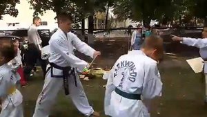 Теквандо