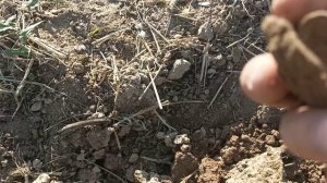 Выбрались на коп! Go в сюжет!