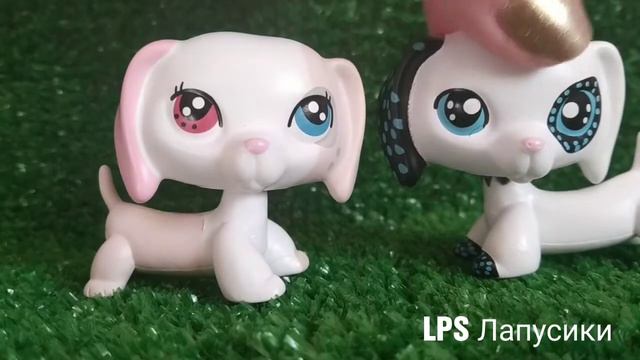 LPS: мои редкие лпс таксы обзор petshop