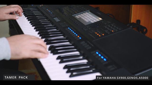 Tamer Expansion Pack for Yamaha Genos / SX900 / A5000 #Balkan #Anatolia #Global #Style #Voice #Soun смотреть онлайн