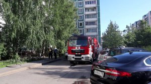 Соседи-обезьяны -- горе всей парадной. Пожар в жилом доме, июль 2020 г.
