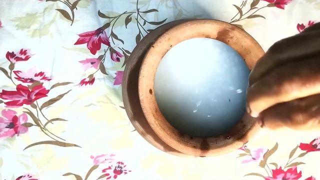 టంకా తోరణి | Tanka Torani | పూరీ జగన్నాథ ప్రసాదం | Summer Cool Java Drink