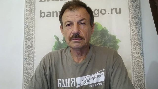 Открытая или закрытая каменка. Или откуда лучшие пар