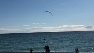 Покорители моря