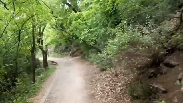 Царская тропа. Ливадия. Крым смотреть онлайн