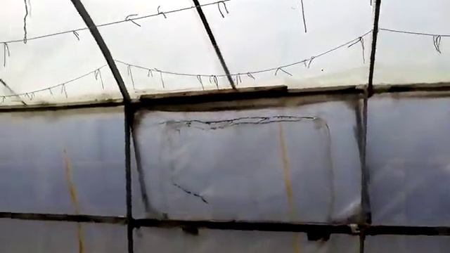парник (балаган) из металлопрофиля