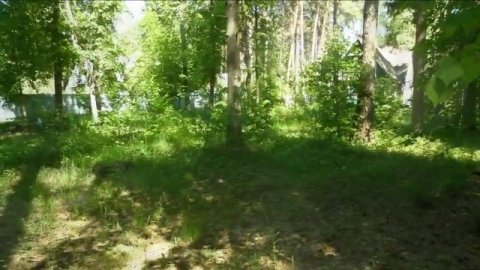 Московская область Раменский район Кратово дп