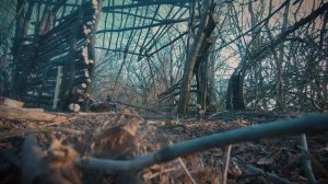 Крыша из камыша для лесной хижины. Building a bungalow, reed roof, solo bushcraft in forest