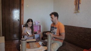 Городок для кошки своими руками.