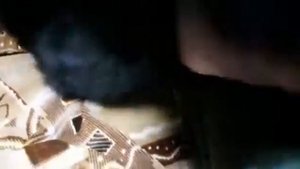 Оказание первой помощи коту, когда у него застряла кость во рту.