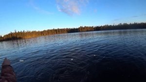 Живём Неделю с Батей в Тайге.Рыбачим в Новых Местах.Навестили Дальний Кордон.Коптим  Пойманную Рыбу