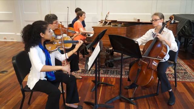 Dvorak: Bagatelles Op. 47, 3rd movement смотреть онлайн