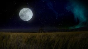 Футаж - Луна над полем пшеницы